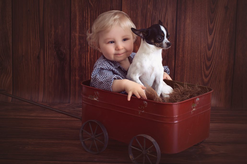 Kinderfotos Würzburg